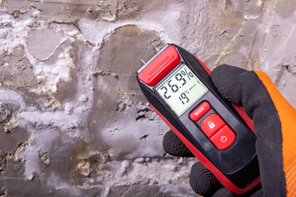 Best Mold Cleaning Services  in Saranac, MI