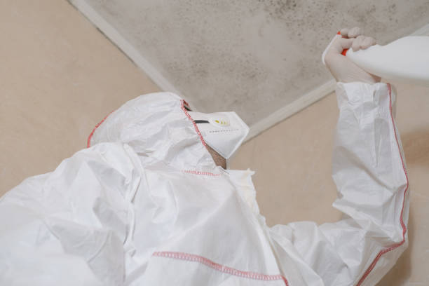 Home Mold Removal in Saranac, MI